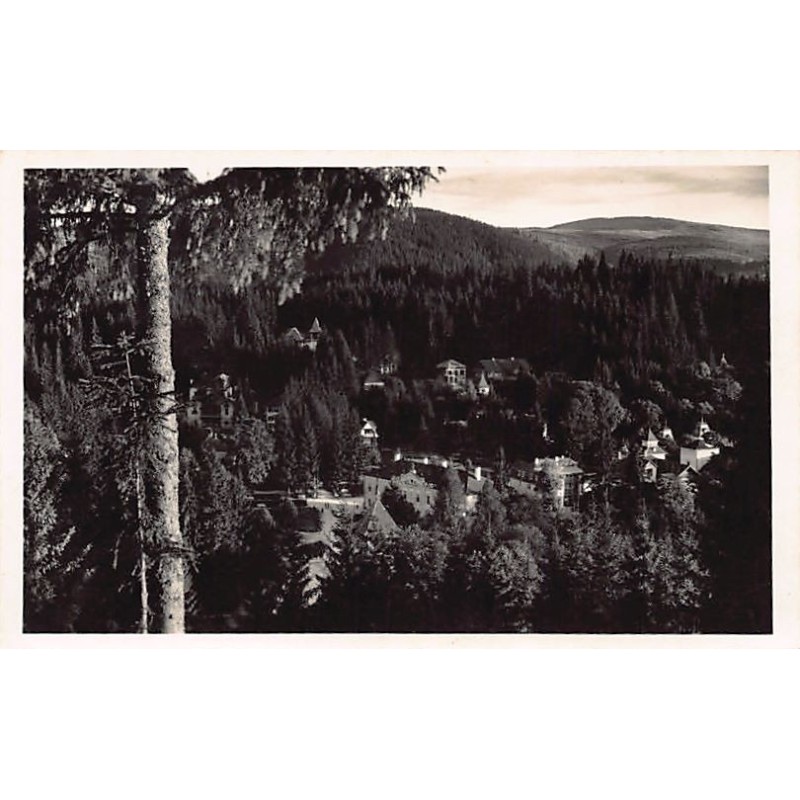 Rare collectable postcards of Romania. Vintage Postcards of Romania