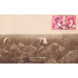 Rare collectable postcards of Romania. Vintage Postcards of Romania