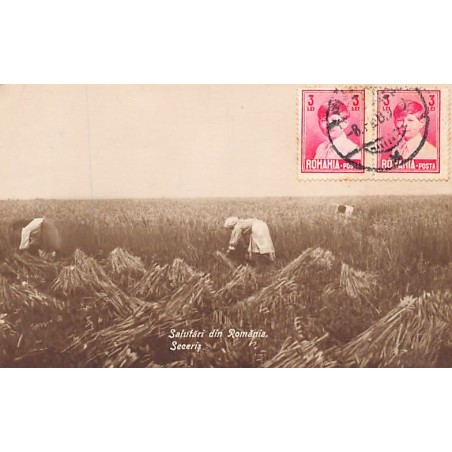 Rare collectable postcards of Romania. Vintage Postcards of Romania