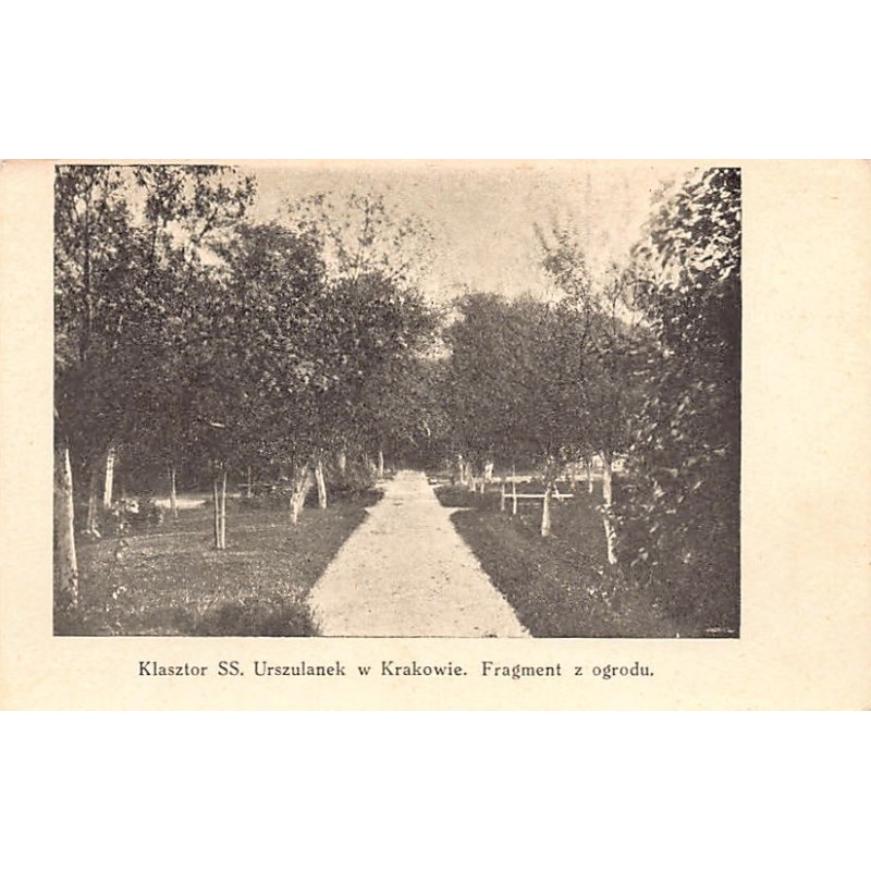 Rare collectable postcards of Poland. Vintage Postcards of Poland