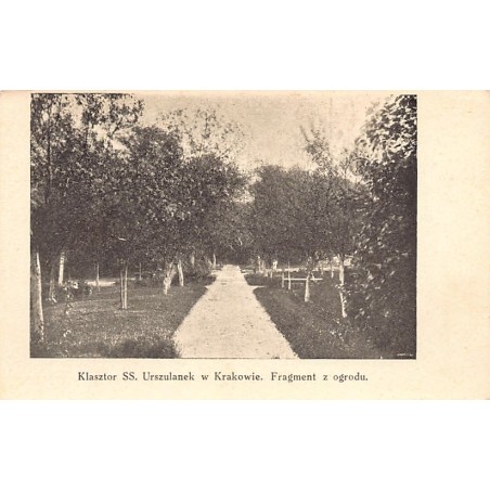Rare collectable postcards of Poland. Vintage Postcards of Poland