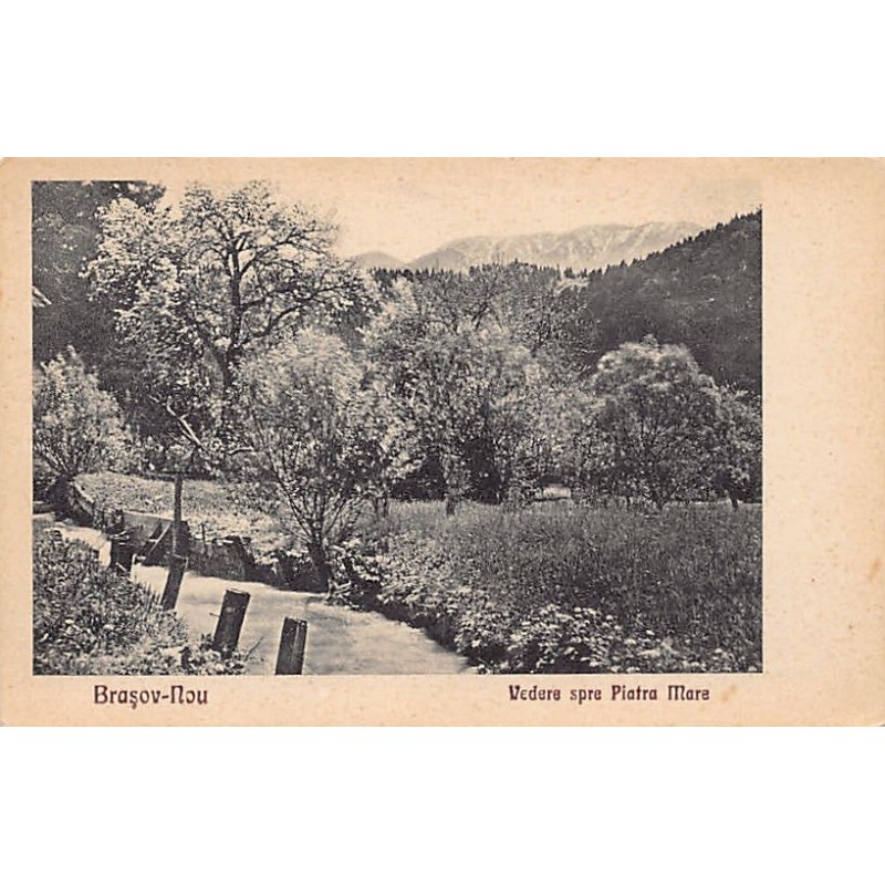 Rare collectable postcards of Romania. Vintage Postcards of Romania