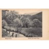 Rare collectable postcards of Romania. Vintage Postcards of Romania