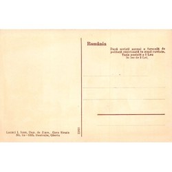 Rare collectable postcards of Romania. Vintage Postcards of Romania