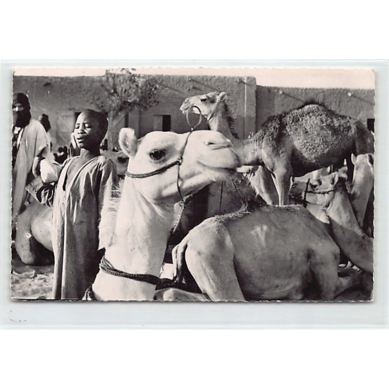 Rare collectable postcards of Mali. Vintage Postcards of Mali