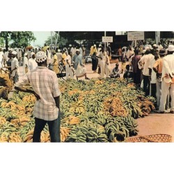 Rare collectable postcards of Tanzania. Vintage Postcards of Tanzania