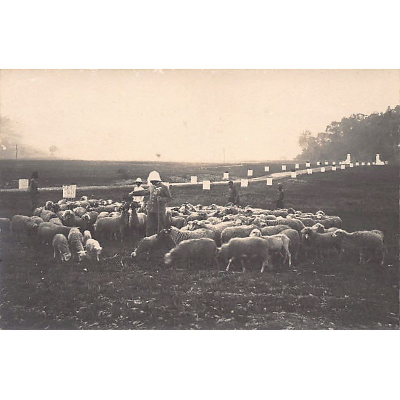 Rare collectable postcards of Laos. Vintage Postcards of Laos