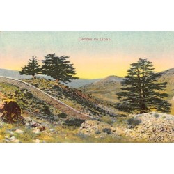 Rare collectable postcards of Lebanon. Vintage Postcards of Lebanon