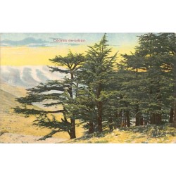 Rare collectable postcards of Lebanon. Vintage Postcards of Lebanon