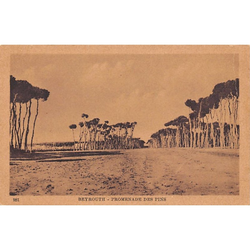 Rare collectable postcards of Lebanon. Vintage Postcards of Lebanon