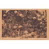 Rare collectable postcards of Lebanon. Vintage Postcards of Lebanon