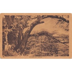 Rare collectable postcards of Lebanon. Vintage Postcards of Lebanon
