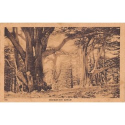 Rare collectable postcards of Lebanon. Vintage Postcards of Lebanon