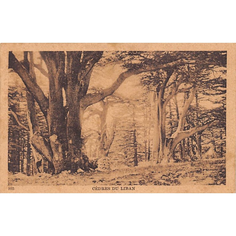 Rare collectable postcards of Lebanon. Vintage Postcards of Lebanon