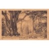 Rare collectable postcards of Lebanon. Vintage Postcards of Lebanon