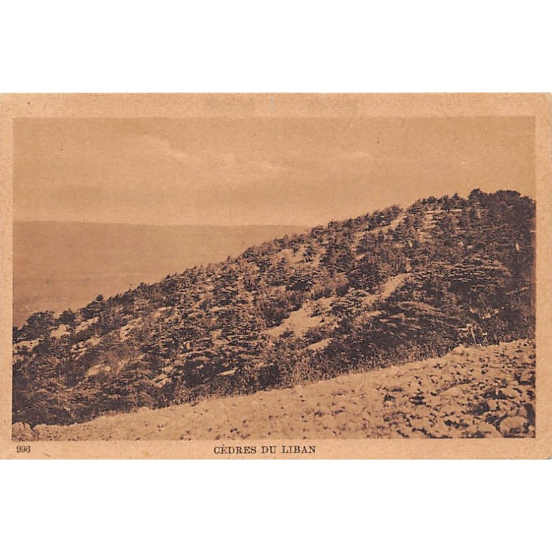 Rare collectable postcards of Lebanon. Vintage Postcards of Lebanon