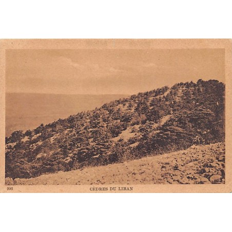 Rare collectable postcards of Lebanon. Vintage Postcards of Lebanon