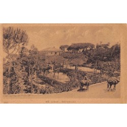 Rare collectable postcards of Lebanon. Vintage Postcards of Lebanon