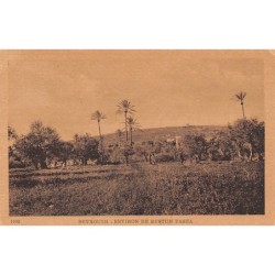 Rare collectable postcards of Lebanon. Vintage Postcards of Lebanon