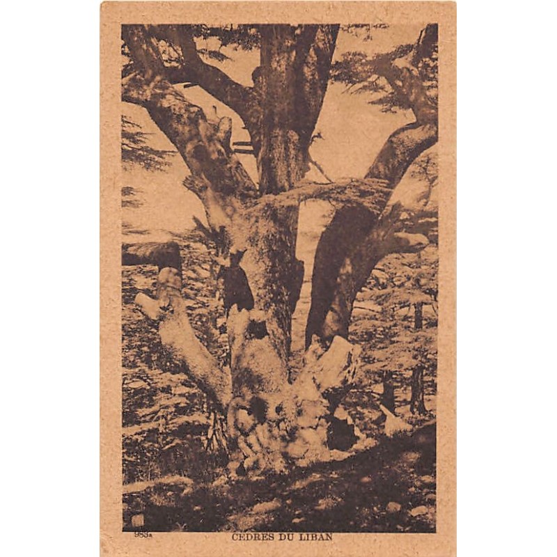 Rare collectable postcards of Lebanon. Vintage Postcards of Lebanon