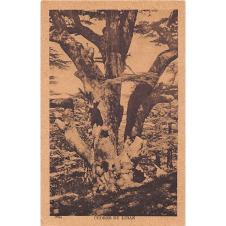 Rare collectable postcards of Lebanon. Vintage Postcards of Lebanon