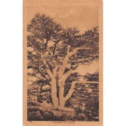 Rare collectable postcards of Lebanon. Vintage Postcards of Lebanon