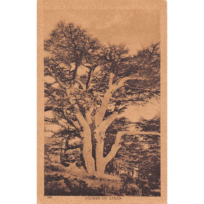 Rare collectable postcards of Lebanon. Vintage Postcards of Lebanon