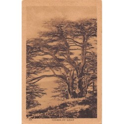 Rare collectable postcards of Lebanon. Vintage Postcards of Lebanon