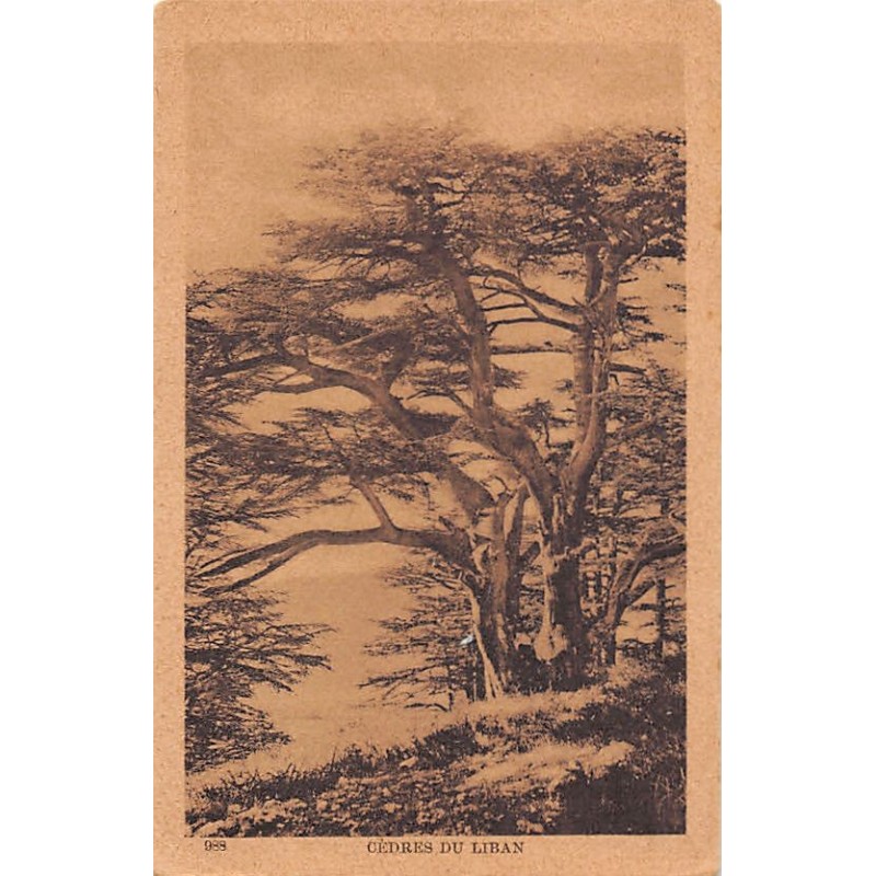 Rare collectable postcards of Lebanon. Vintage Postcards of Lebanon