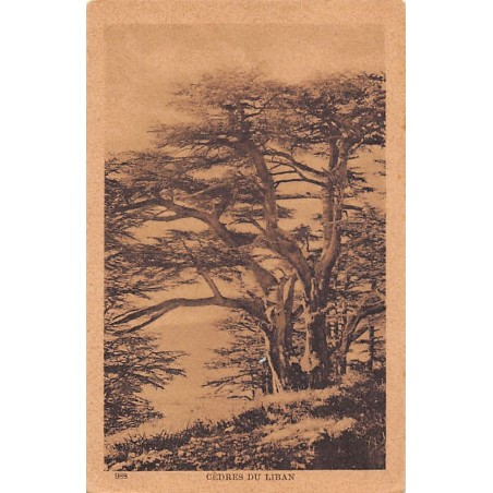 Rare collectable postcards of Lebanon. Vintage Postcards of Lebanon