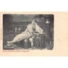Rare collectable postcards of Lebanon. Vintage Postcards of Lebanon