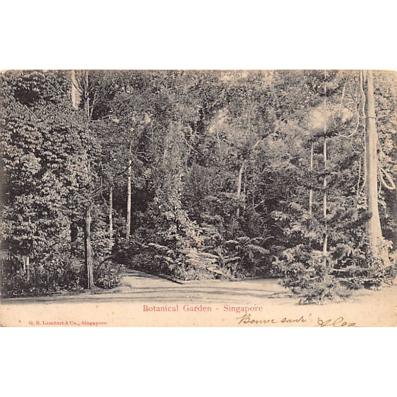 Rare collectable postcards of Singapore. Vintage Postcards of Singapore