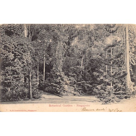 Rare collectable postcards of Singapore. Vintage Postcards of Singapore