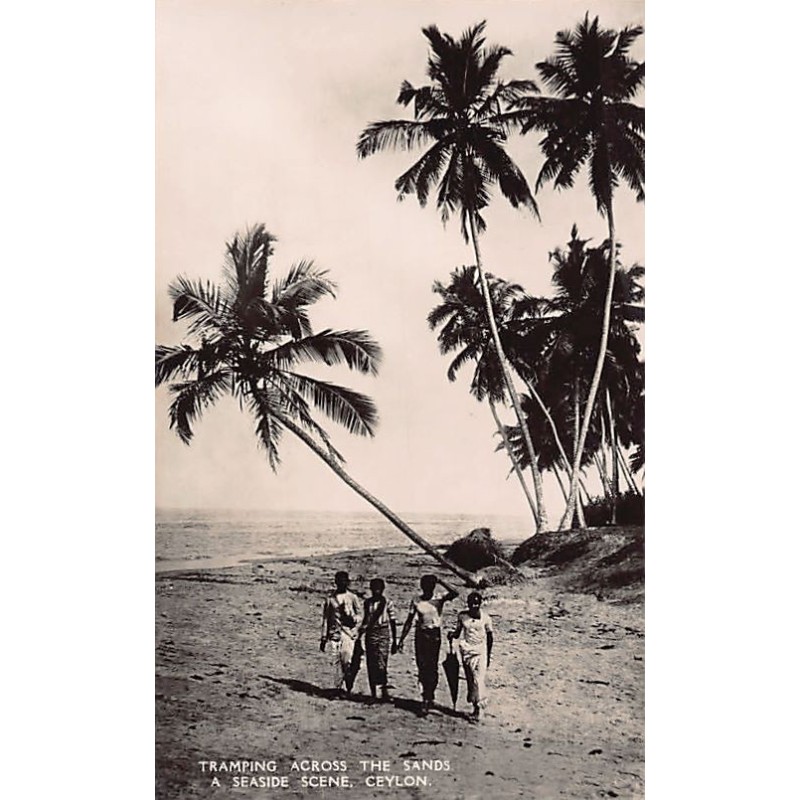 Rare collectable postcards of Sri Lanka (Ceylon). Vintage Postcards of Sri Lanka (Ceylon)