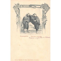 Rare collectable postcards of Chile. Vintage Postcards of Chile