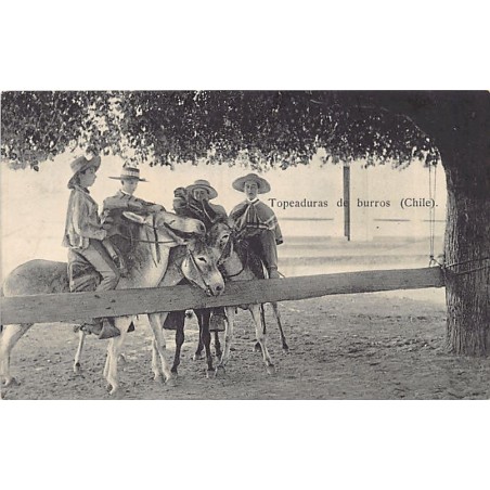 Rare collectable postcards of Chile. Vintage Postcards of Chile