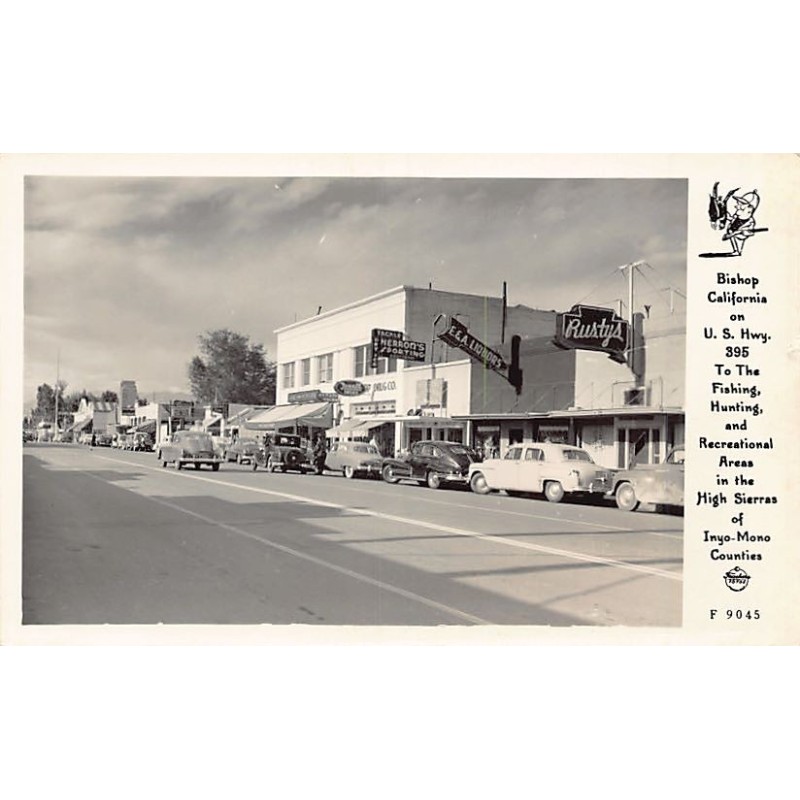 Rare collectable postcards of United States. Vintage Postcards of United States