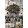 Rare collectable postcards of Croatia. Vintage Postcards of Croatia