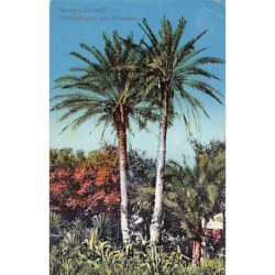 Rare collectable postcards of Croatia. Vintage Postcards of Croatia