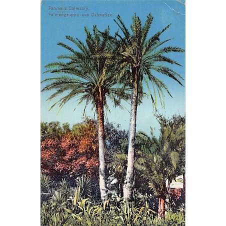 Rare collectable postcards of Croatia. Vintage Postcards of Croatia