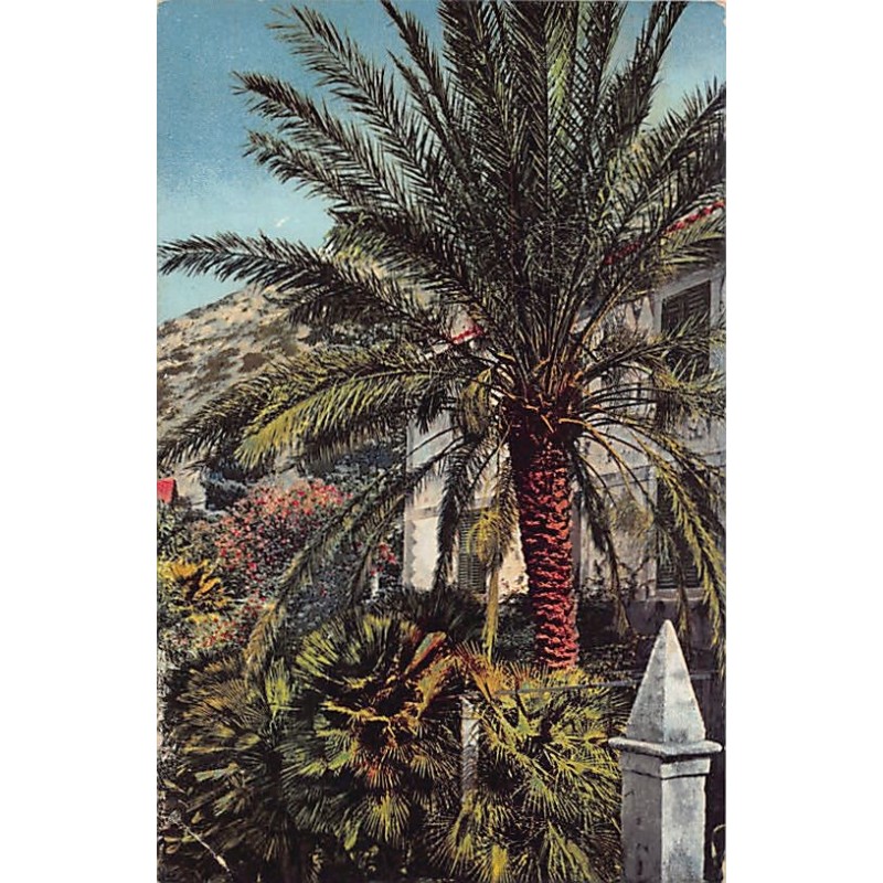 Rare collectable postcards of Croatia. Vintage Postcards of Croatia