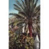 Rare collectable postcards of Croatia. Vintage Postcards of Croatia