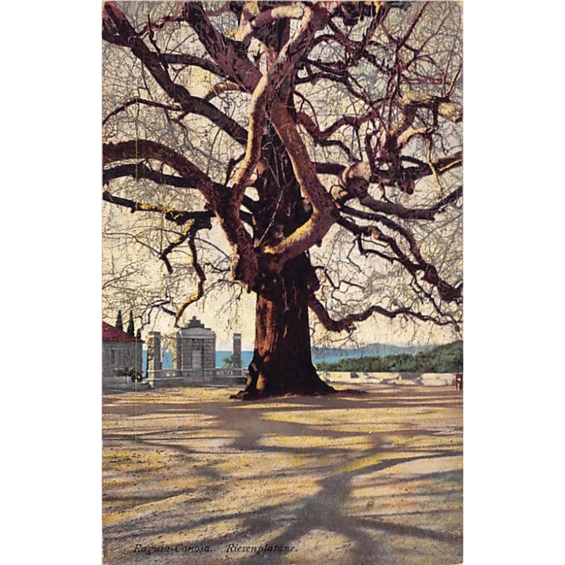 Rare collectable postcards of Croatia. Vintage Postcards of Croatia