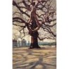 Rare collectable postcards of Croatia. Vintage Postcards of Croatia