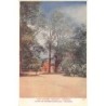 Rare collectable postcards of Greece. Vintage Postcards of Greece