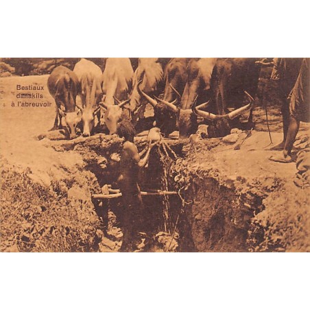 Rare collectable postcards of ETHIOPIA. Vintage Postcards of ETHIOPIA