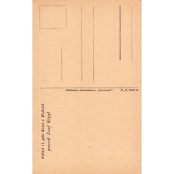 Rare collectable postcards of Slovakia. Vintage Postcards of Slovakia