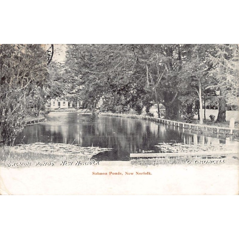 Rare collectable postcards of Australia. Vintage Postcards of Australia