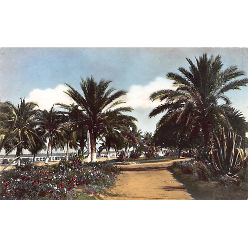 Rare collectable postcards of Madagascar. Vintage Postcards of Madagascar