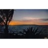 Rare collectable postcards of Madagascar. Vintage Postcards of Madagascar